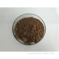 Hot Sell Agaricus Bisporus Mushroom Extract Powder